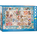 EuroGraphics Seashell Collection 1000pc