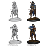 WIZKIDS/NECA PFDCUM Elf Bard Female W4