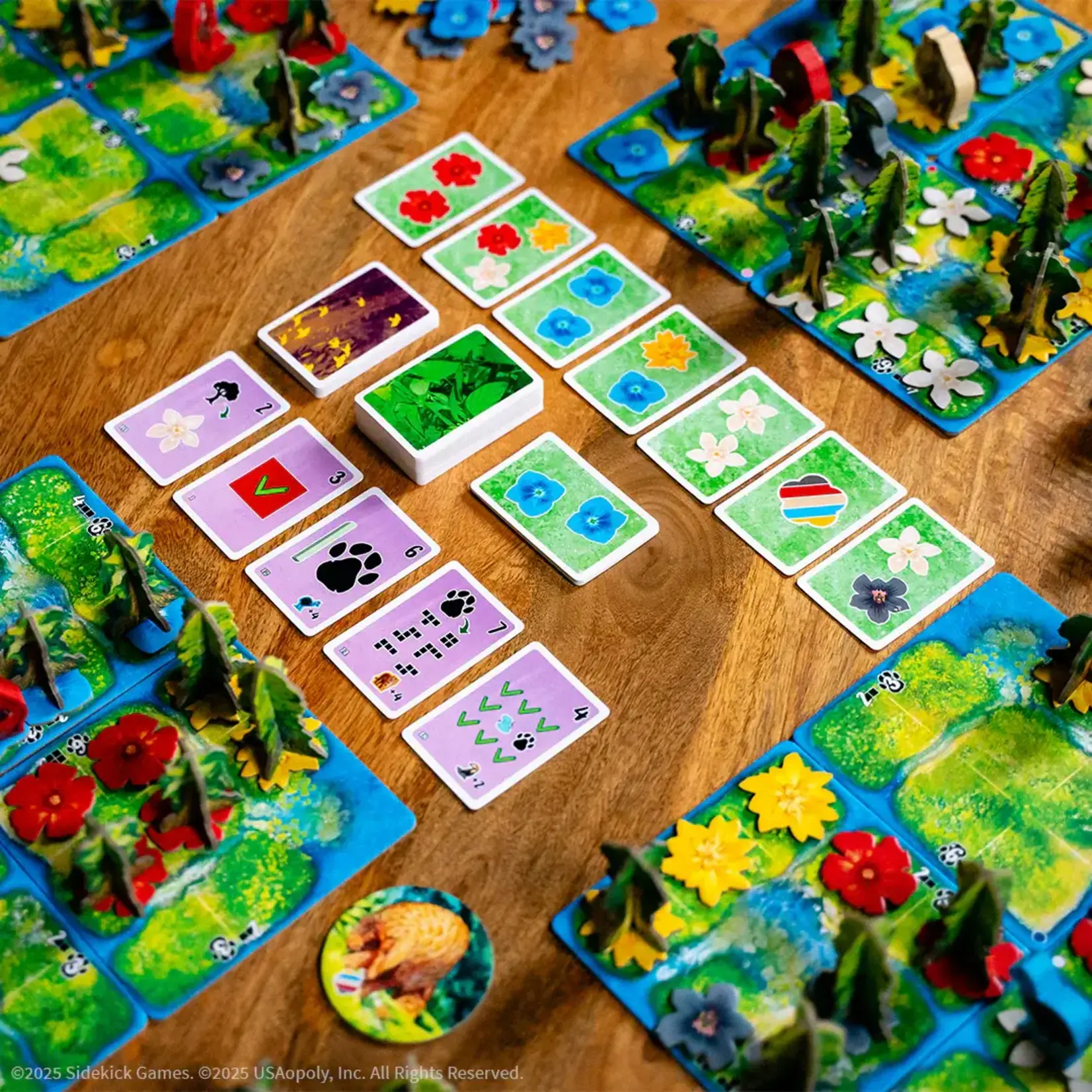 USAopoly HUTAN Life in the Rainforest