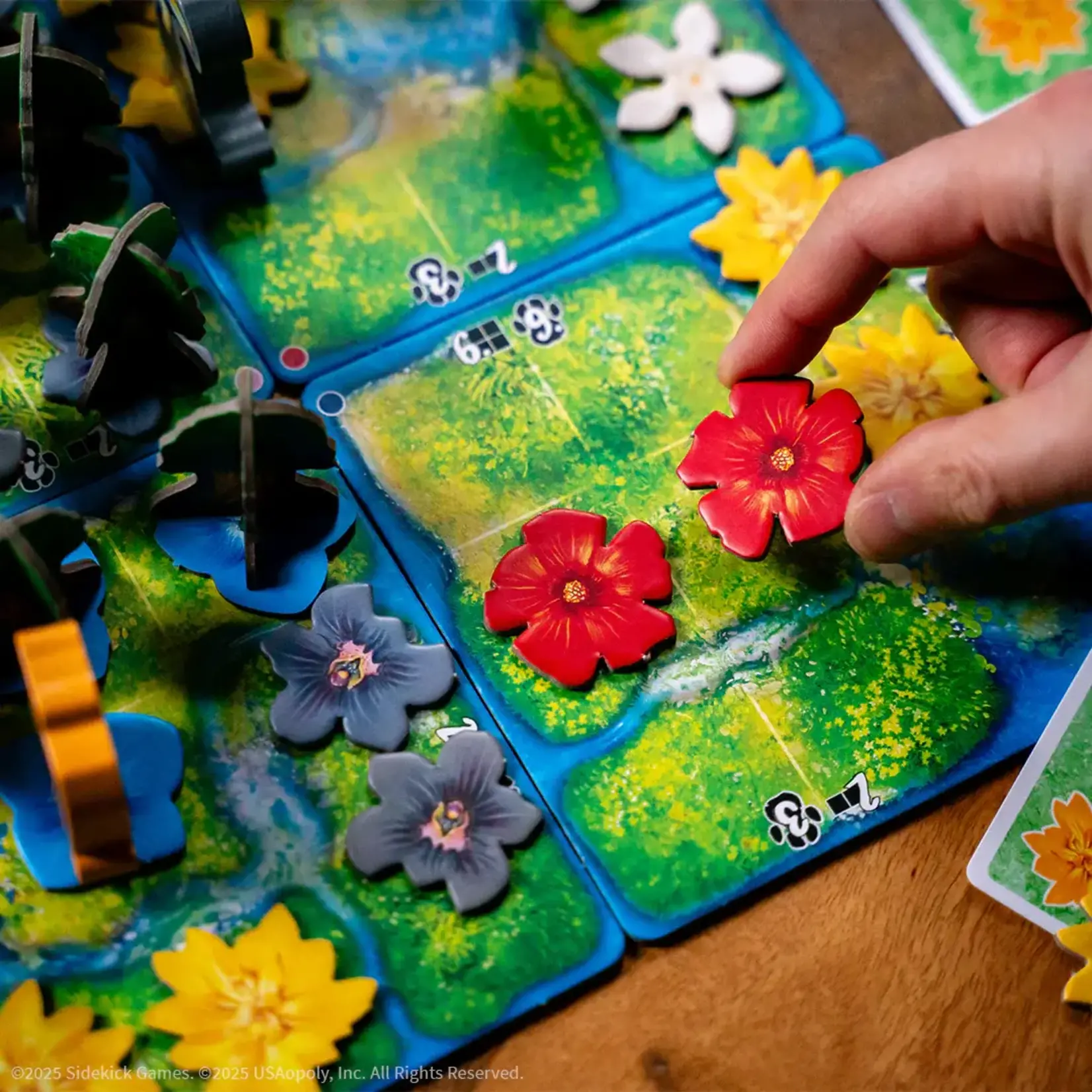 USAopoly HUTAN Life in the Rainforest