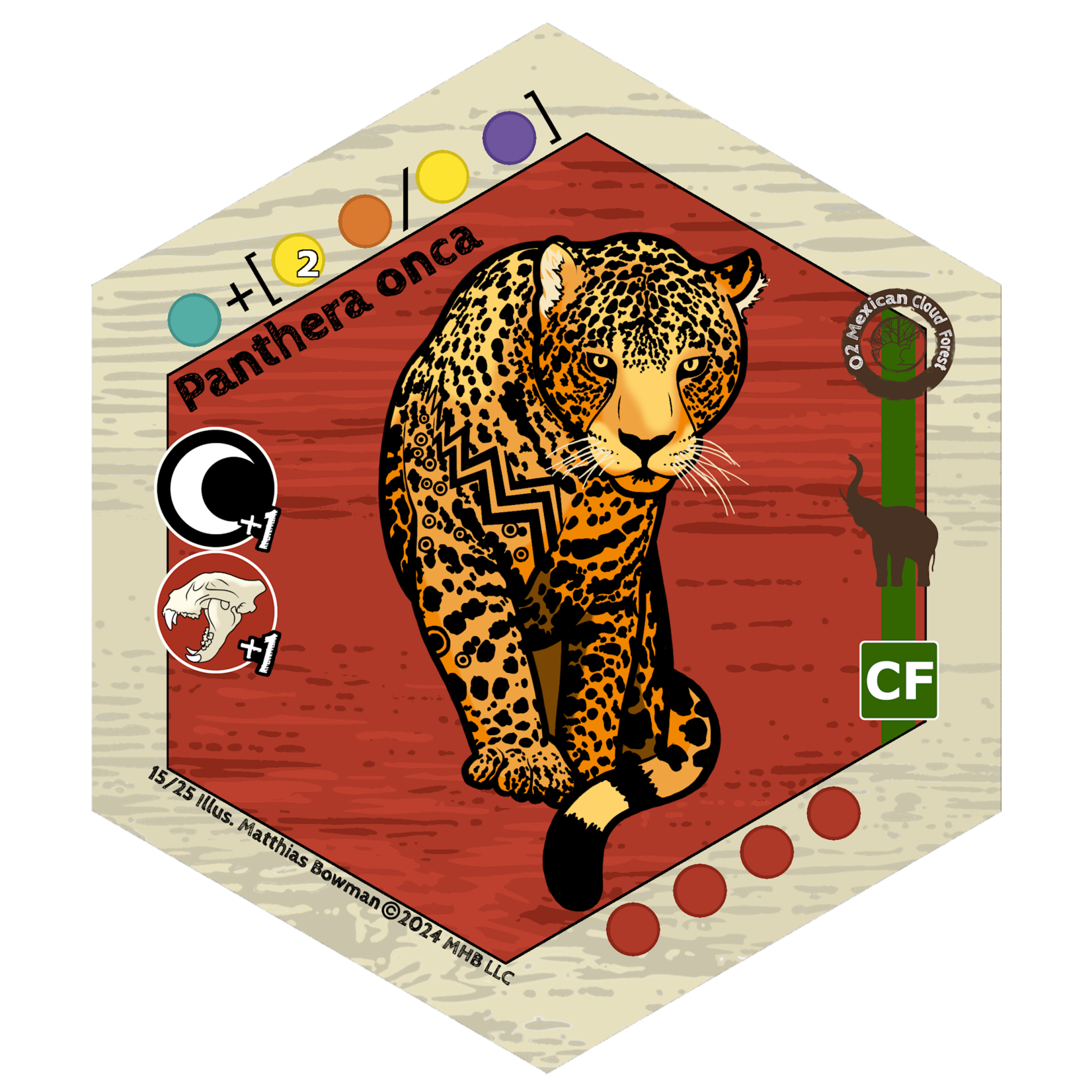 Matthias Bowman kCaloria Mexican Cloud Forest