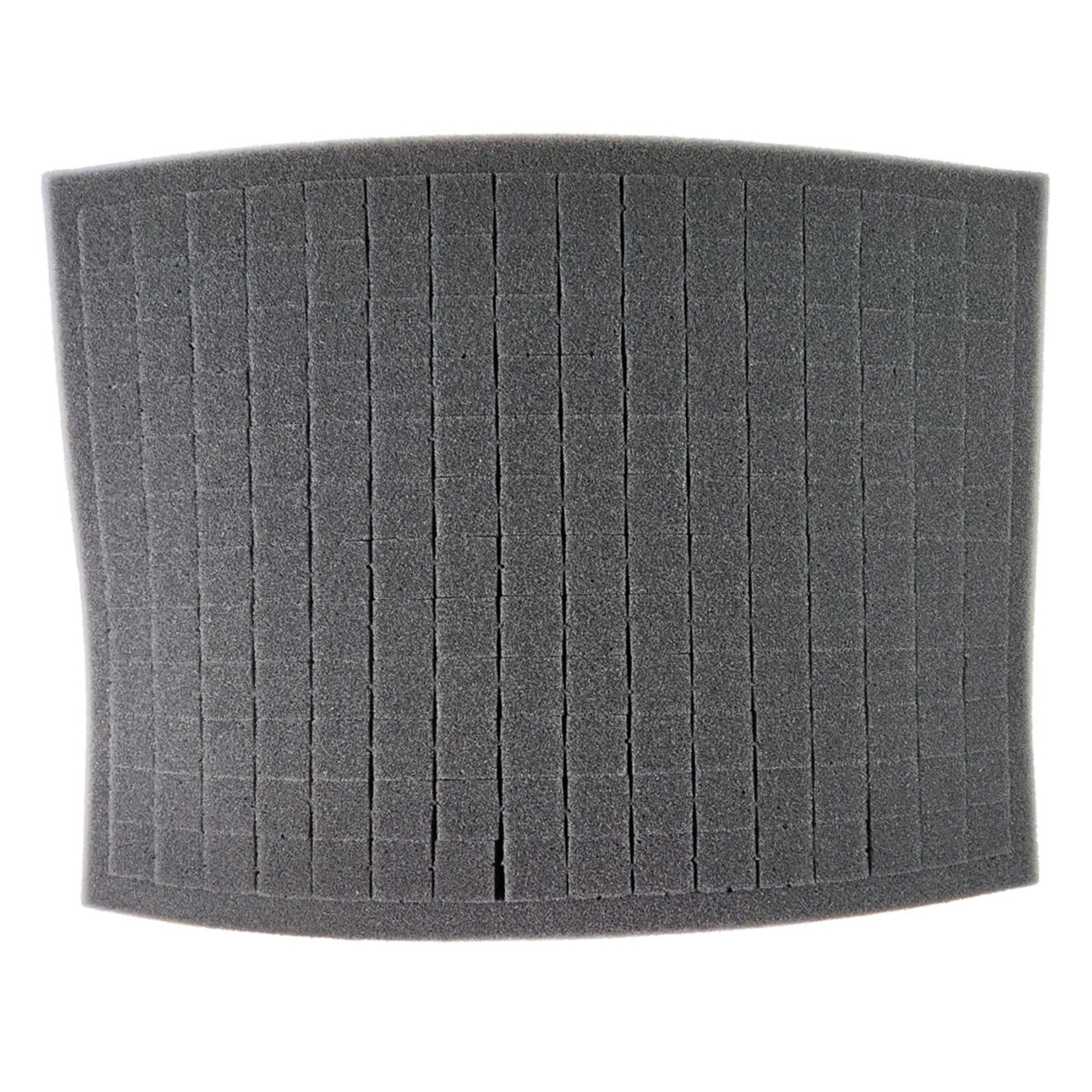 Battle Foam Battle Foam Large Pluck Foam Tray 2 inch