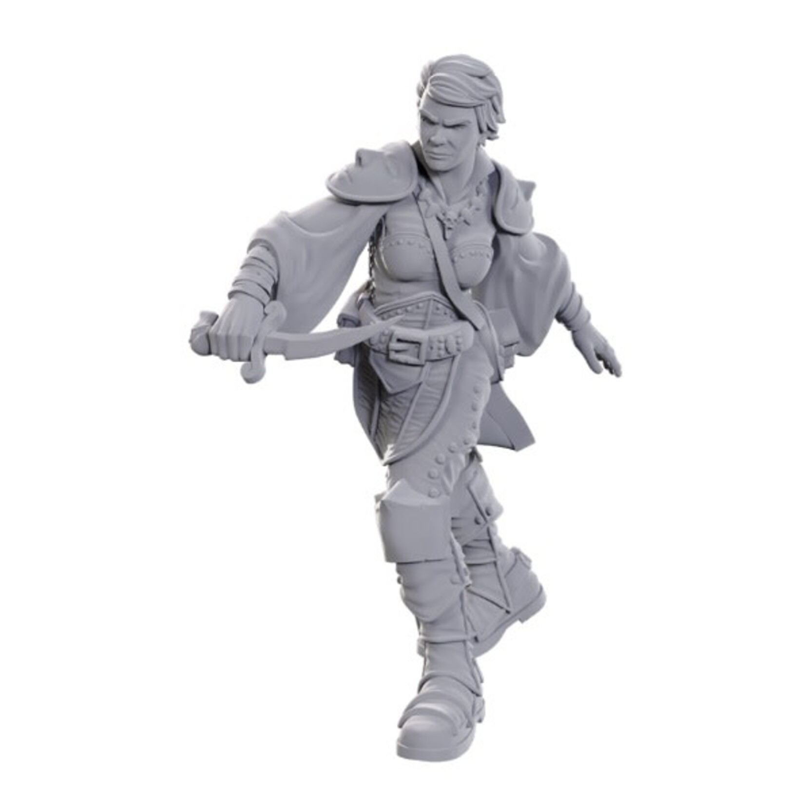 WIZKIDS/NECA D&DNMUM W25 Swashbuckler
