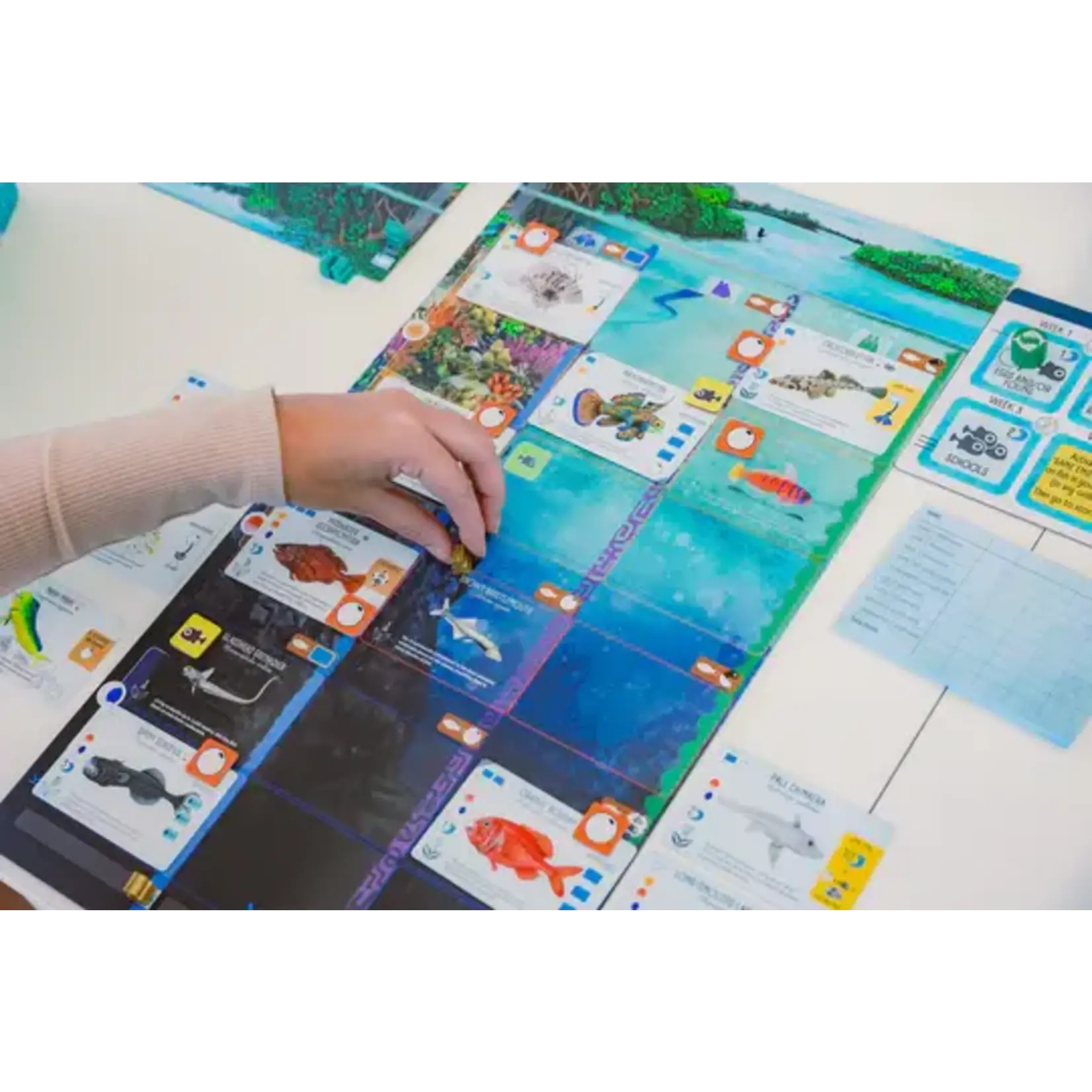 Stonemaier Games Finspan