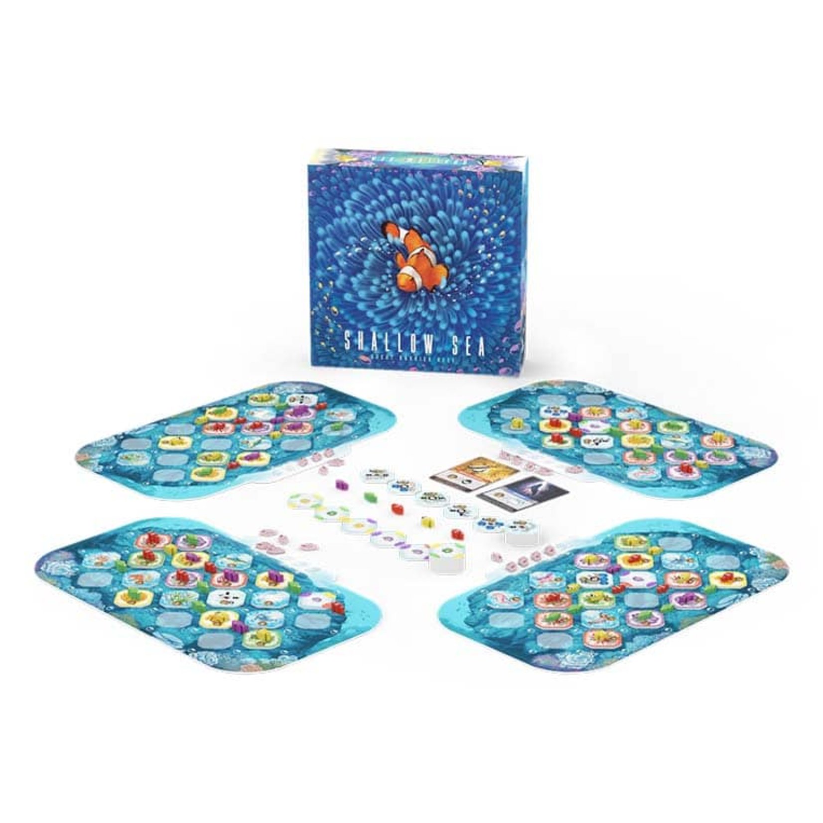 Bad Comet Shallow Sea