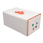 Ultra Pro Magic the Gathering CCG: Mana 8 Duo Deck Box Lotus