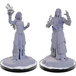WIZKIDS/NECA D&DNMUM Elf Wizards W22