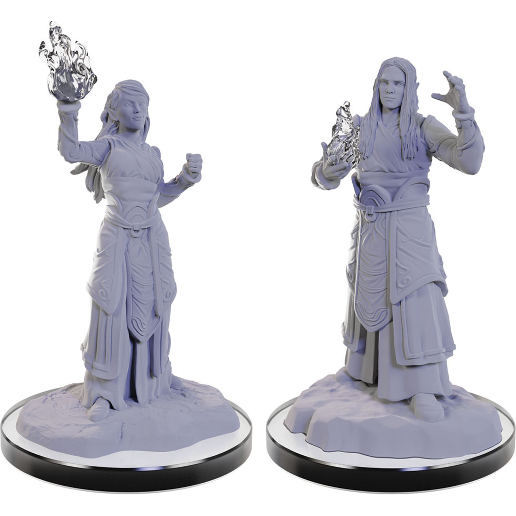 WIZKIDS/NECA D&DNMUM Elf Wizards W22