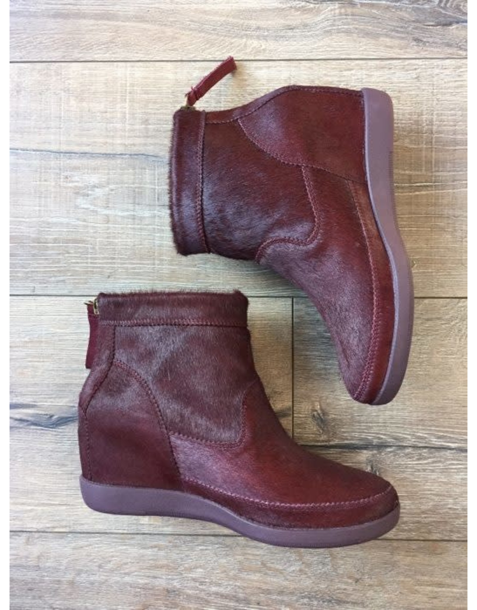 Shoe the bear emmy Clearance