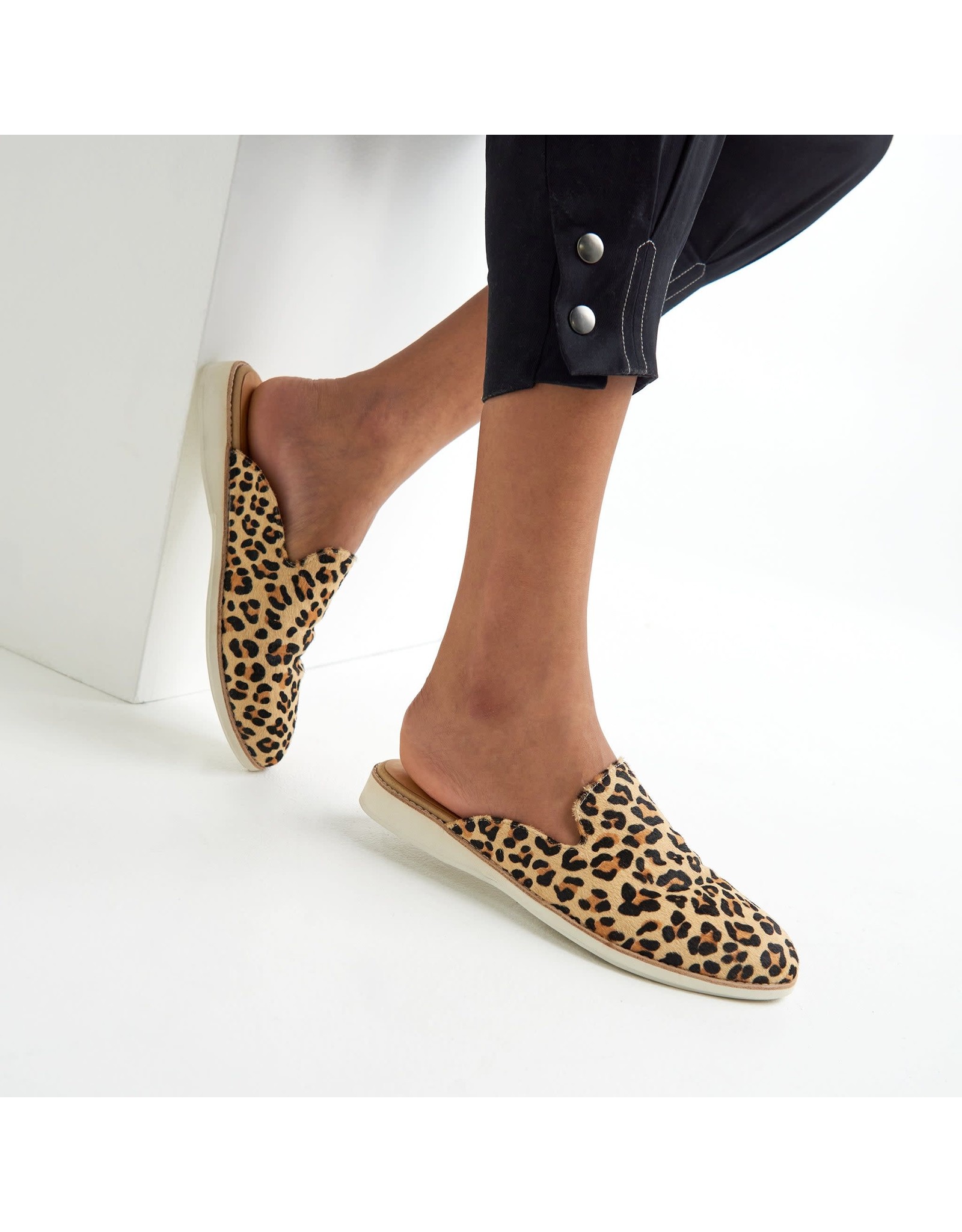 rollies leopard print