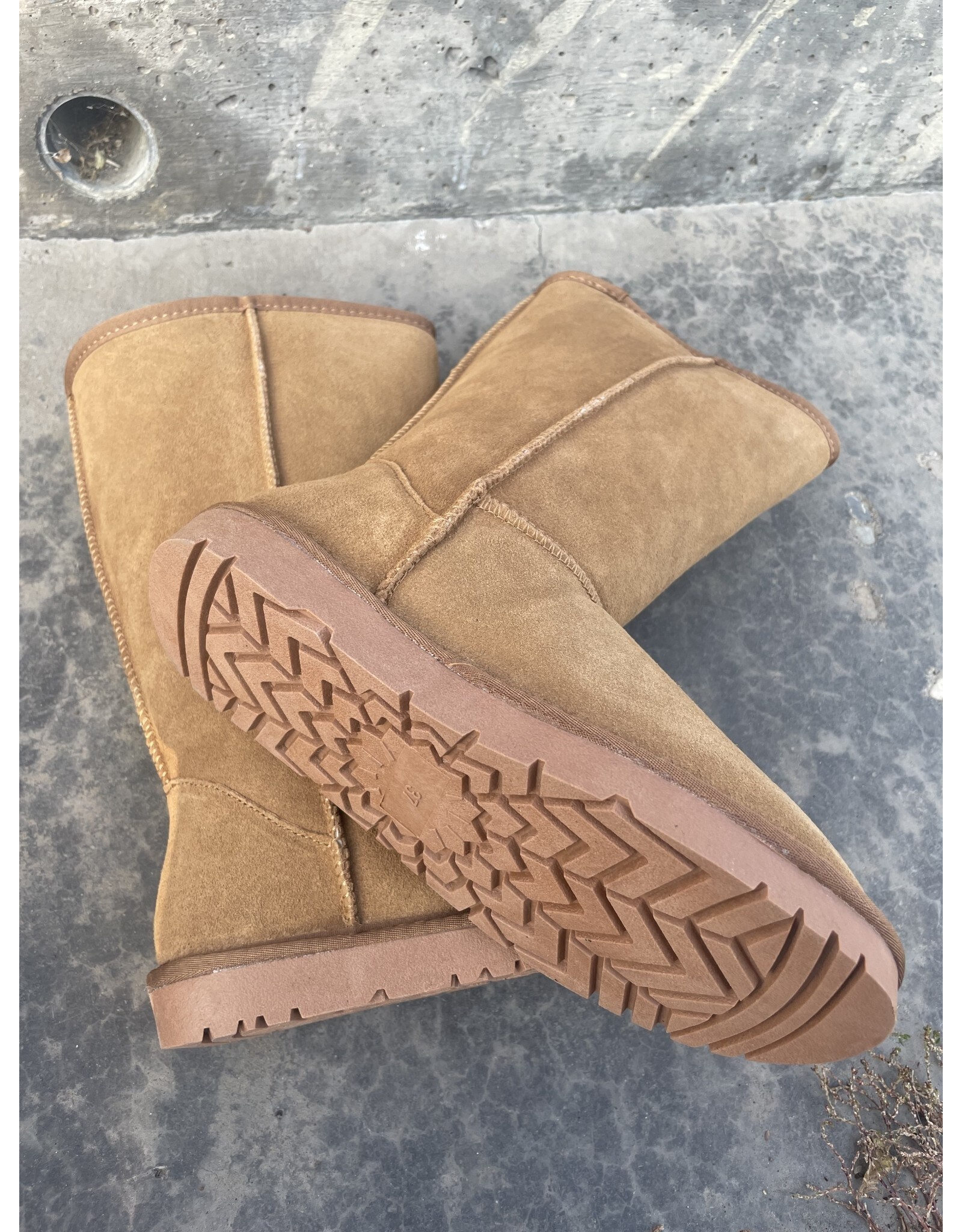 Taxi Taxi - Whistler 12 (Snow Owl - chestnut)