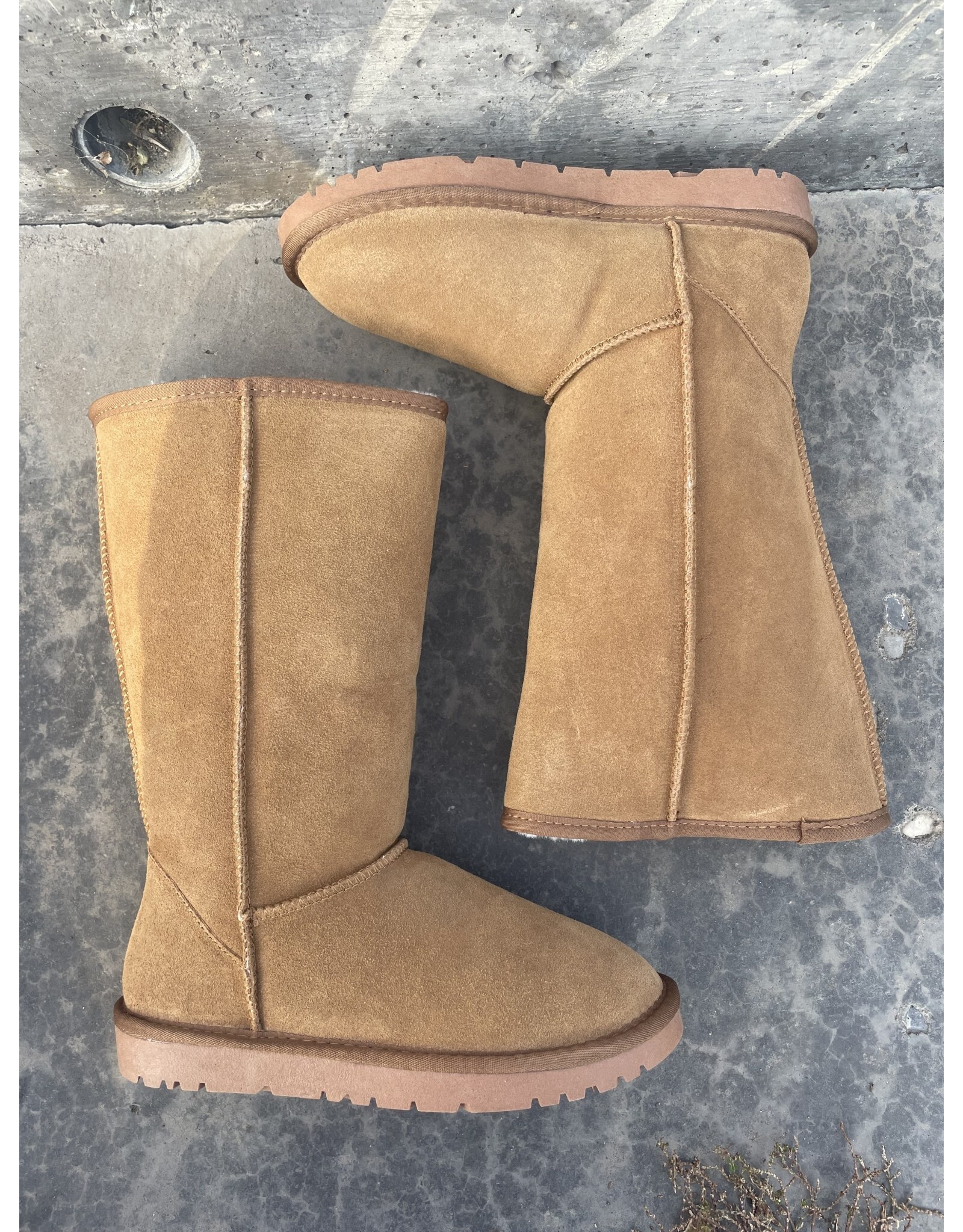 Taxi Taxi - Whistler 12 (Snow Owl - chestnut)