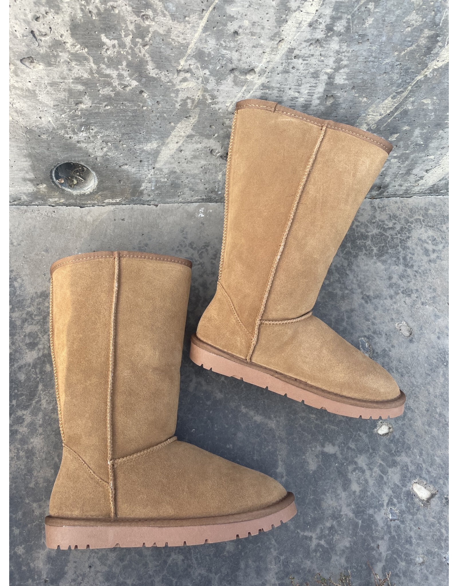 Taxi Taxi - Whistler 12 (Snow Owl - chestnut)