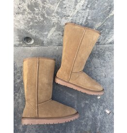 Taxi Taxi - Whistler 12 (Snow Owl - chestnut)