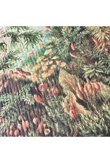 Pika & Bear Pika & Bear - "Pangaea" Ancient Forest Design Swedish Dishcloth