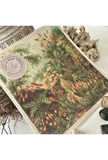 Pika & Bear Pika & Bear - "Pangaea" Ancient Forest Design Swedish Dishcloth