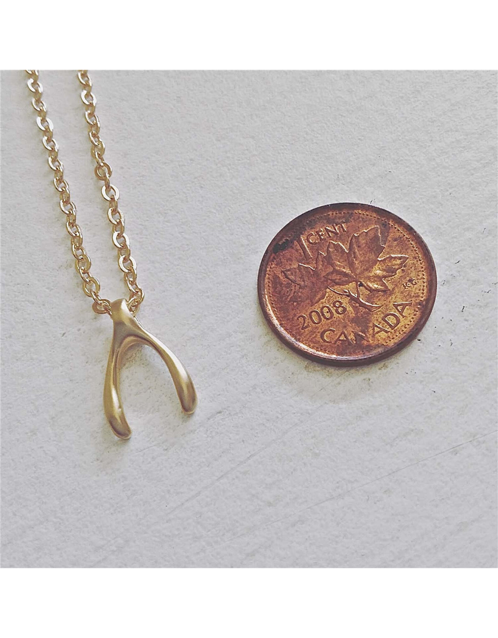 Pika & Bear Pika & Bear - "Wish" Wishbone Charm Necklace