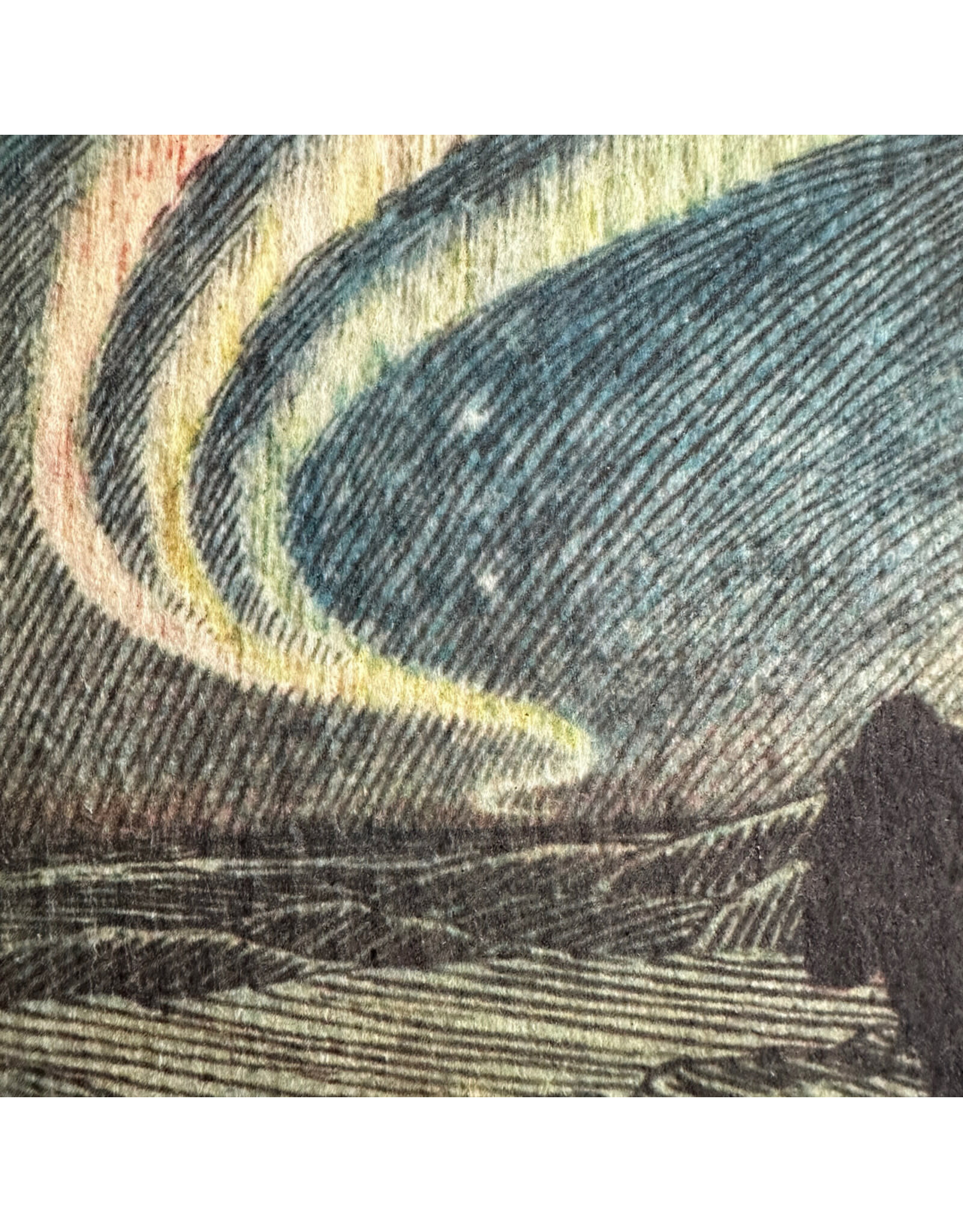 Pika & Bear Pika & Bear - 	 "Boreal" Borealis Night Scene Design Swedish Dishcloth