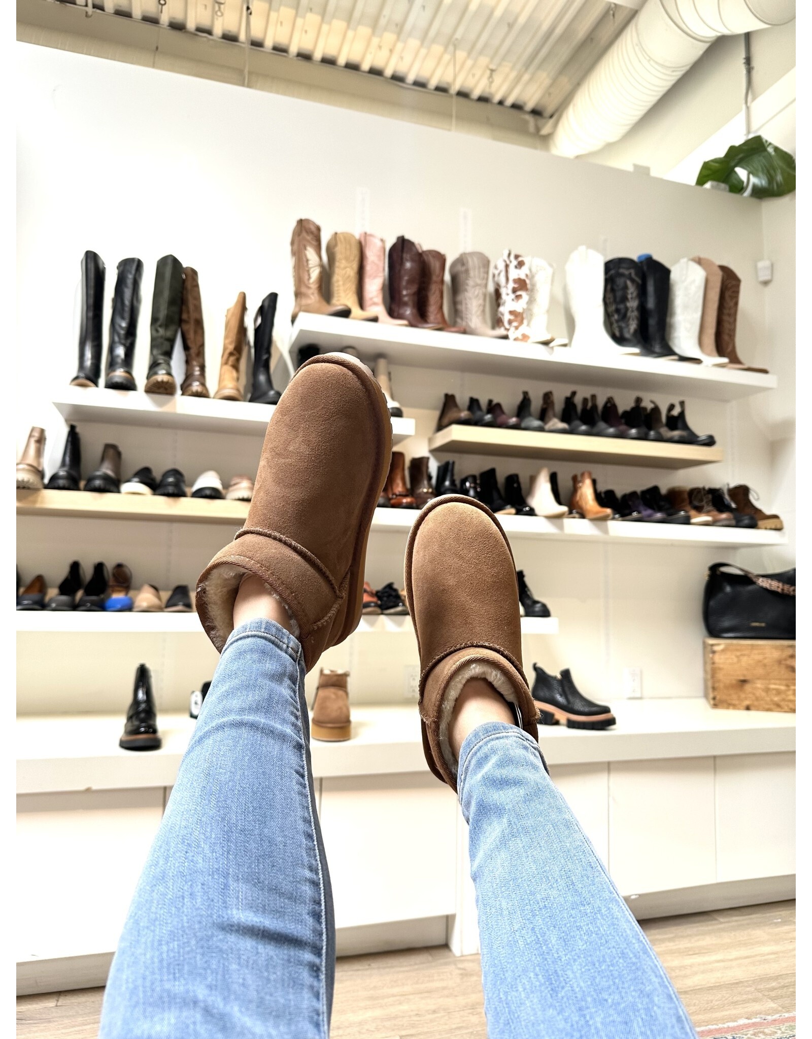 Emu Australia EMU - Stinger micro (chestnut)