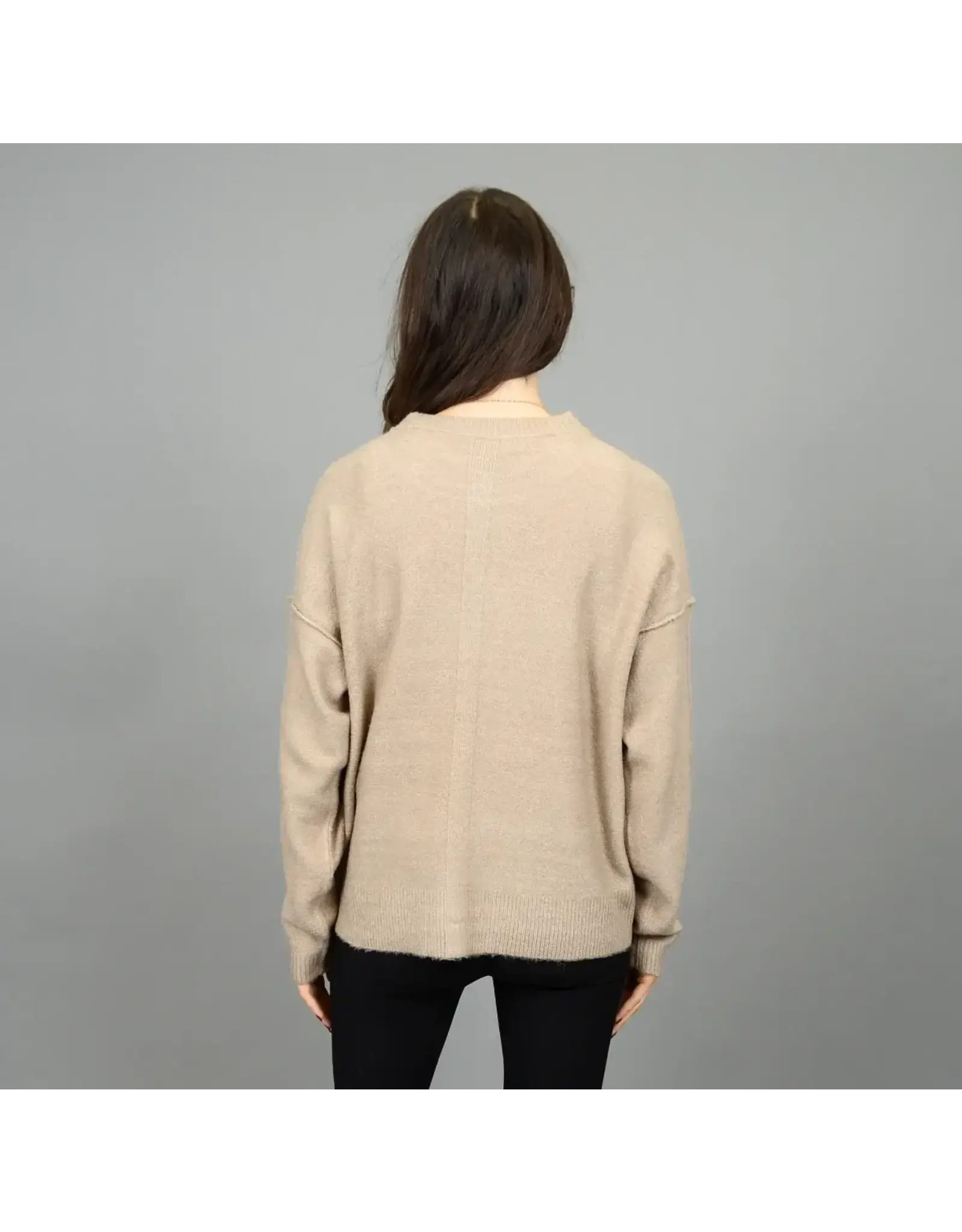 RD Style RD Style - Sanjana Long Sleeve Crew Neck (Dune Melange)
