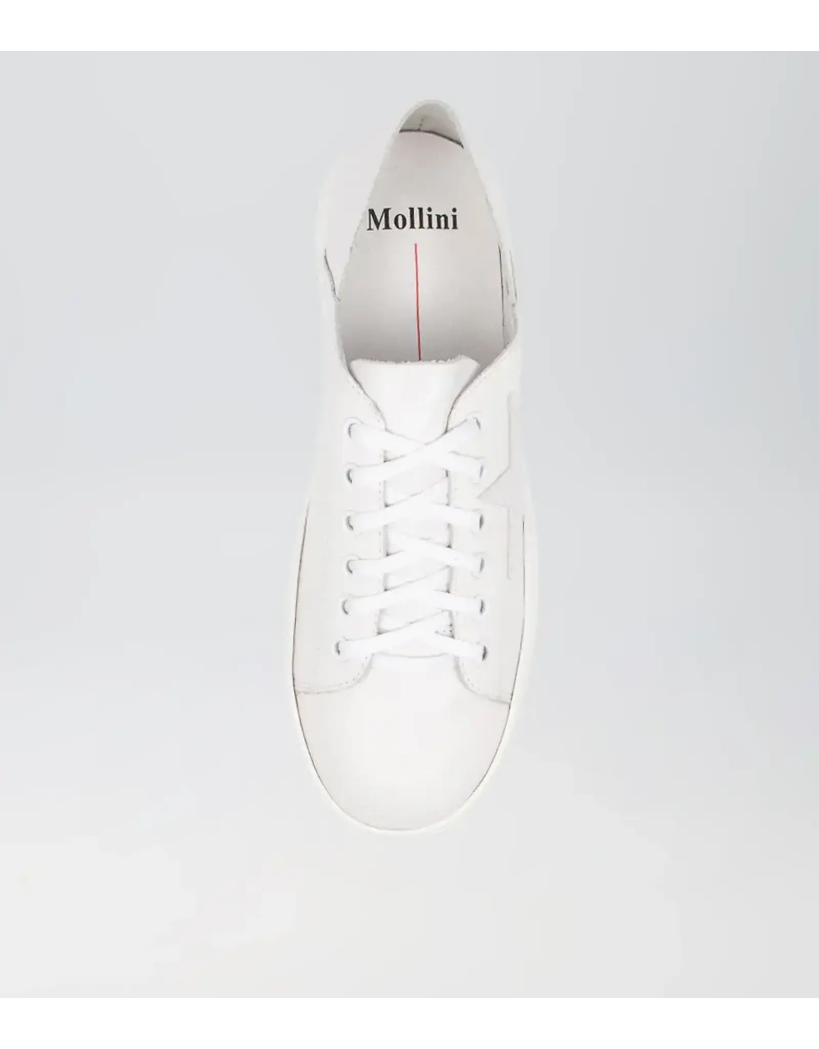 Mollini Mollini - Oholiday MO (White / White Leather)