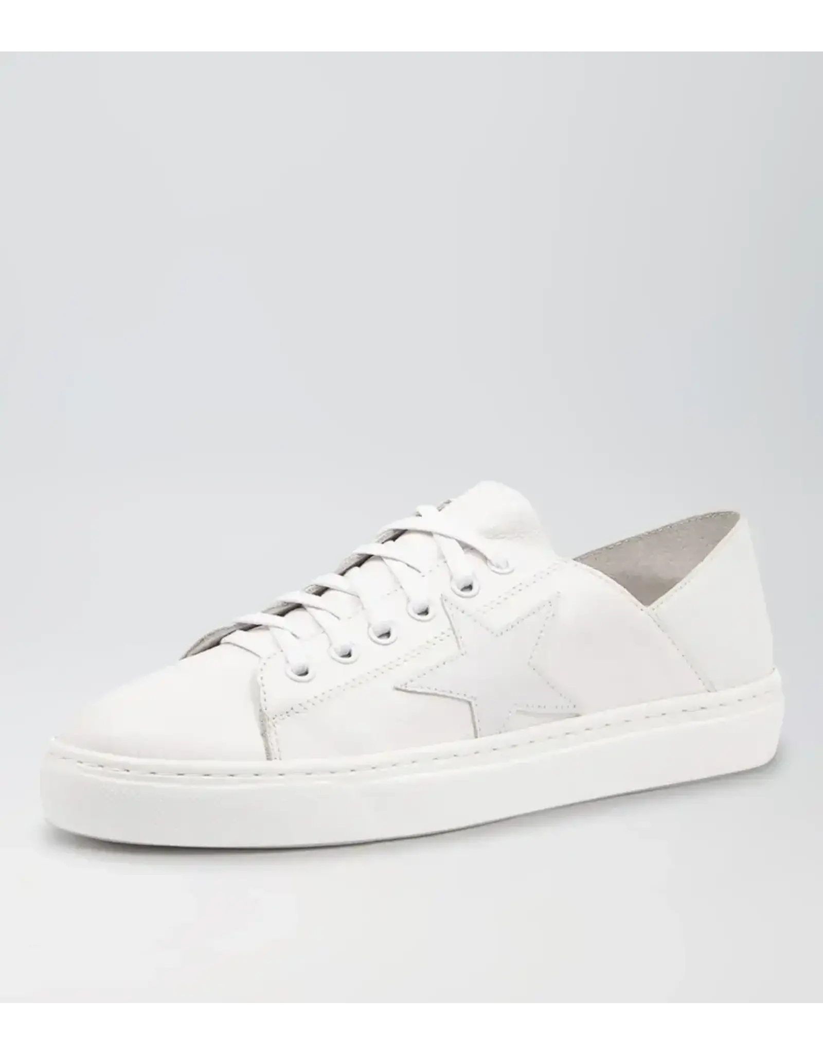 Mollini Mollini - Oholiday MO (White / White Leather)