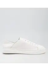 Mollini Mollini - Oholiday MO (White / White Leather)