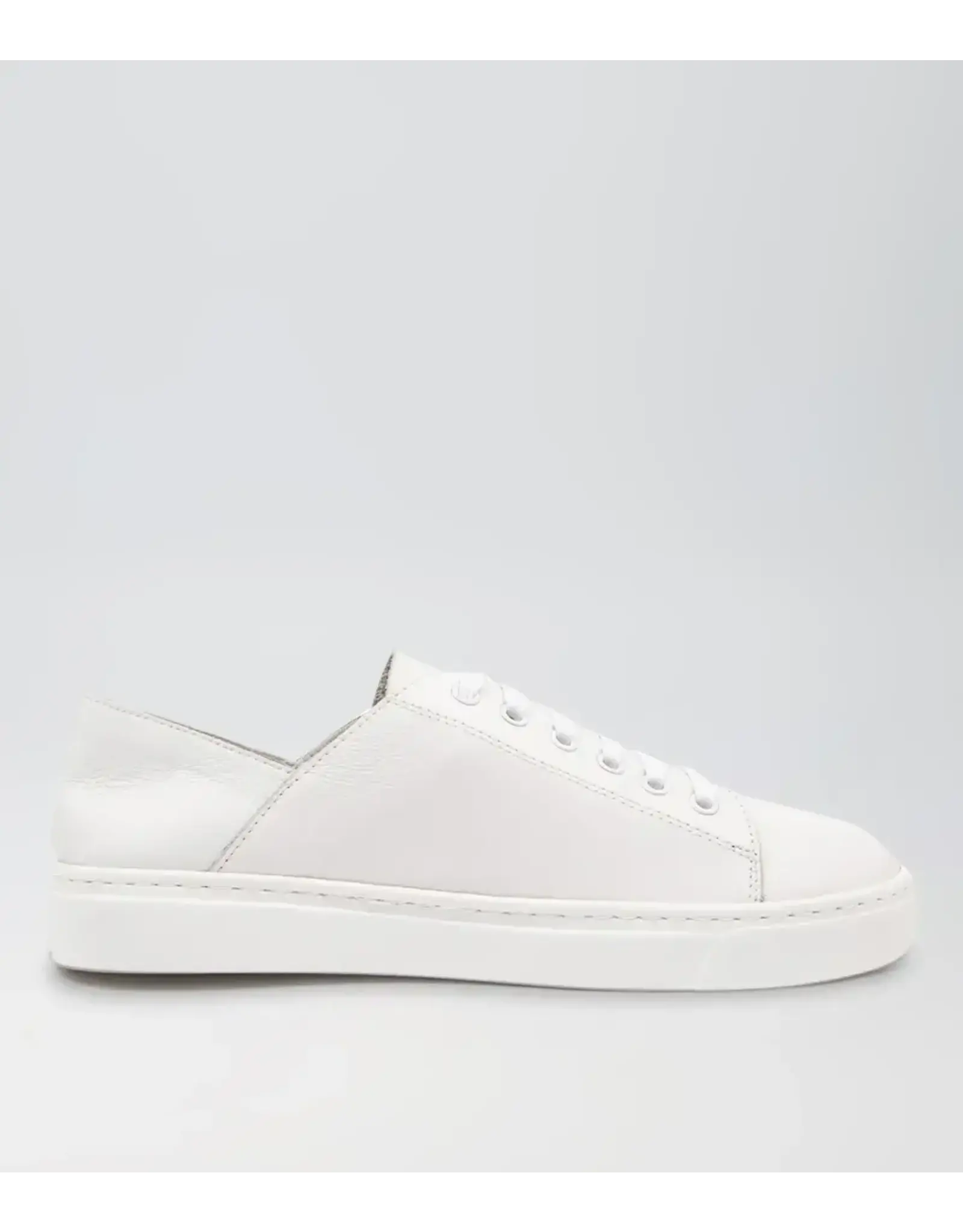 Mollini Mollini - Oholiday MO (White / White Leather)