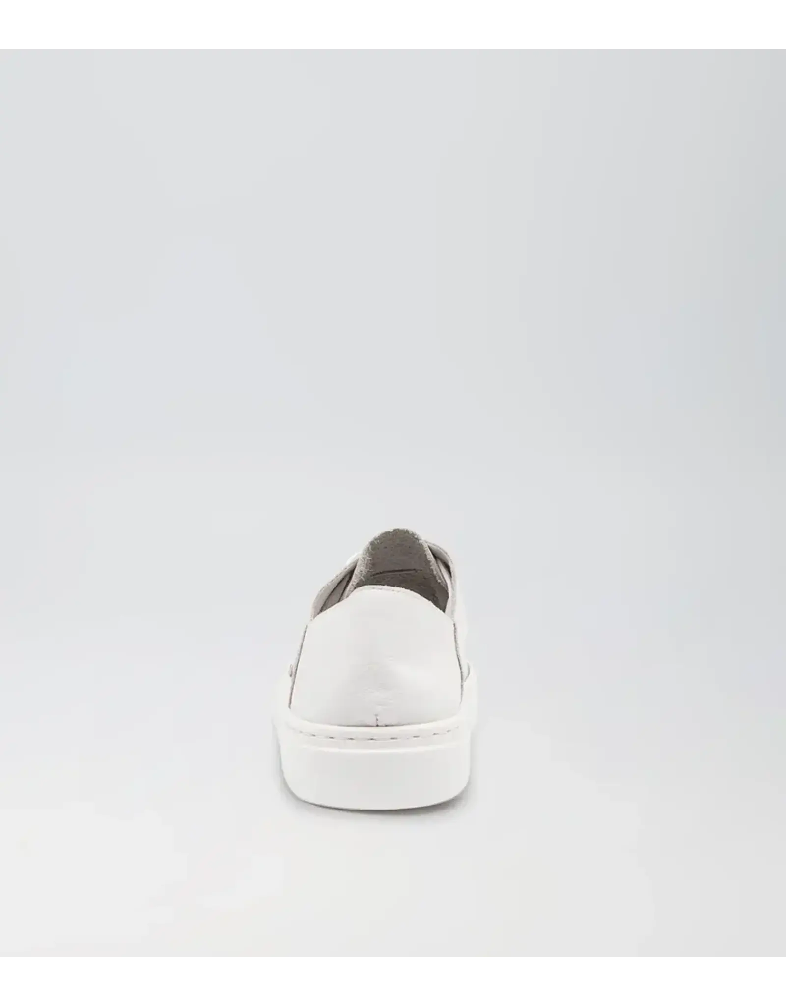 Mollini Mollini - Oholiday MO (White / White Leather)