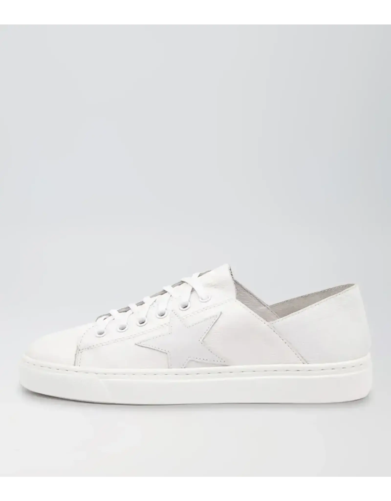 Mollini Mollini - Oholiday MO (White / White Leather)