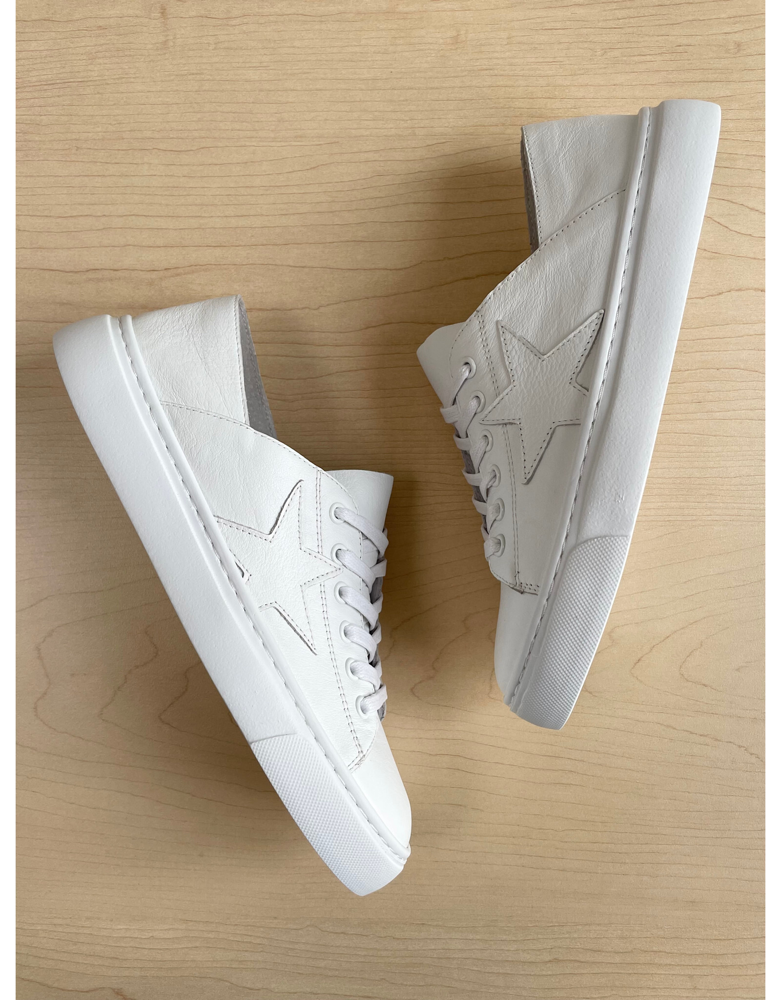 Mollini Mollini - Oholiday MO (White / White Leather)