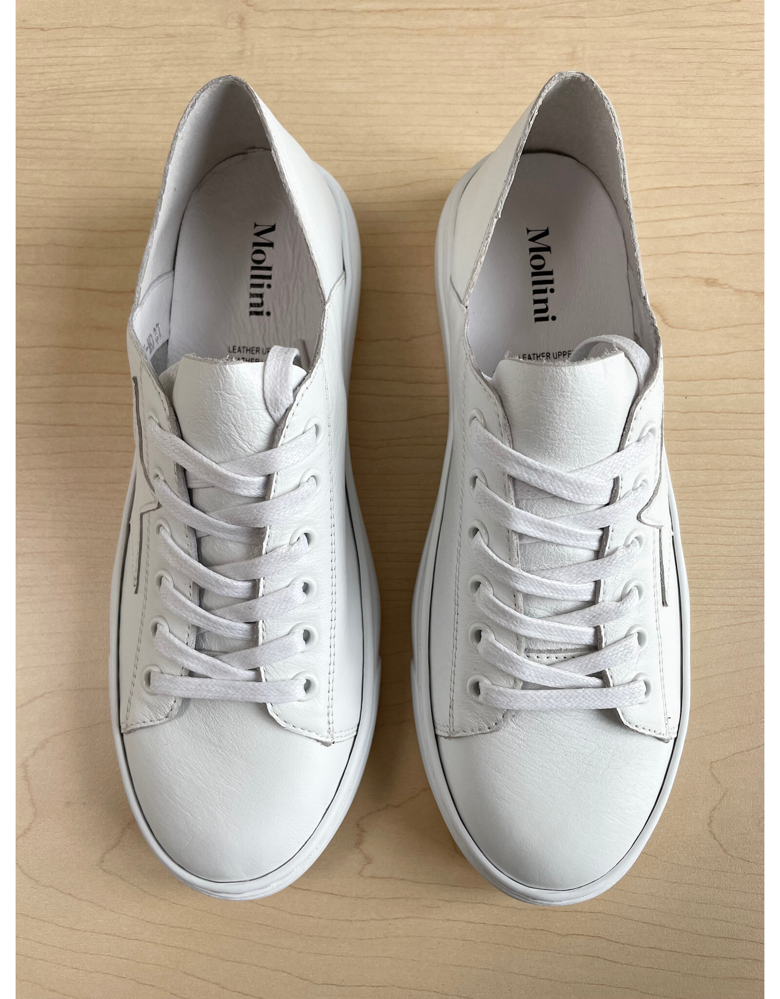 Mollini Mollini - Oholiday MO (White / White Leather)