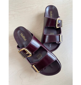 Mollini Mollini - Celeste (Burgundy Shine Leather)
