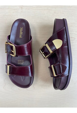 Mollini Mollini - Celeste (Burgundy Shine Leather)