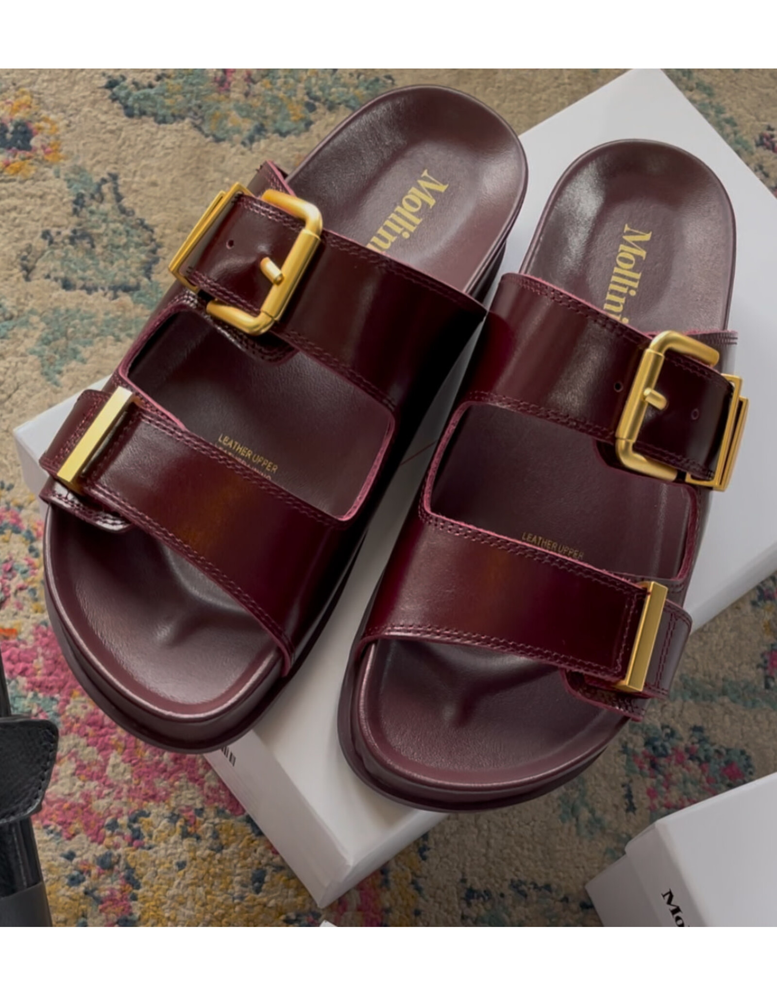 Mollini Mollini - Celeste (Burgundy Shine Leather)