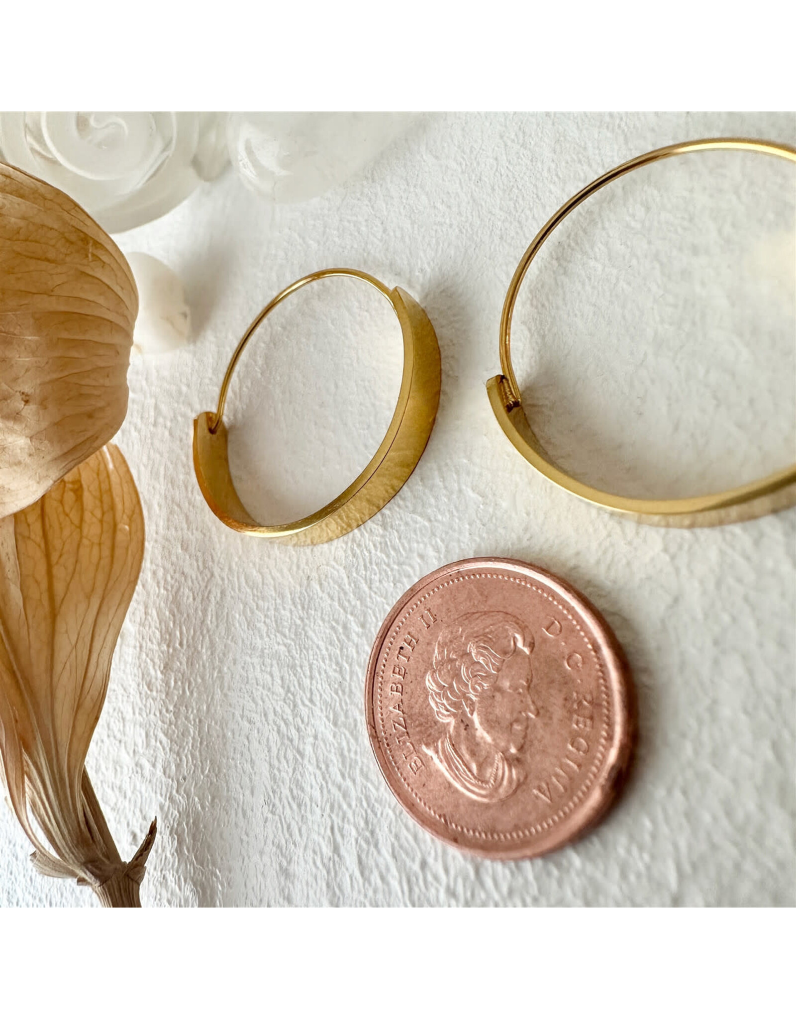 Pika & Bear Pika & Bear - 	 "Torus" Contemporary Hoop Earrings in Gold