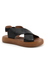 Bueno Bueno - Jayden (Black)