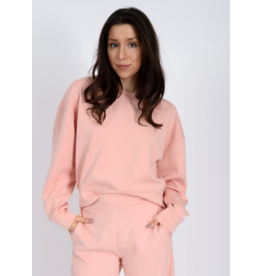 RD Style RD Style - Lucie Soft Knit Crewneck Long Sleeve Pullover (Dusty Peach)