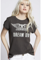 Recycled Karma Recycled Karma - Aerosmith Dream On tee