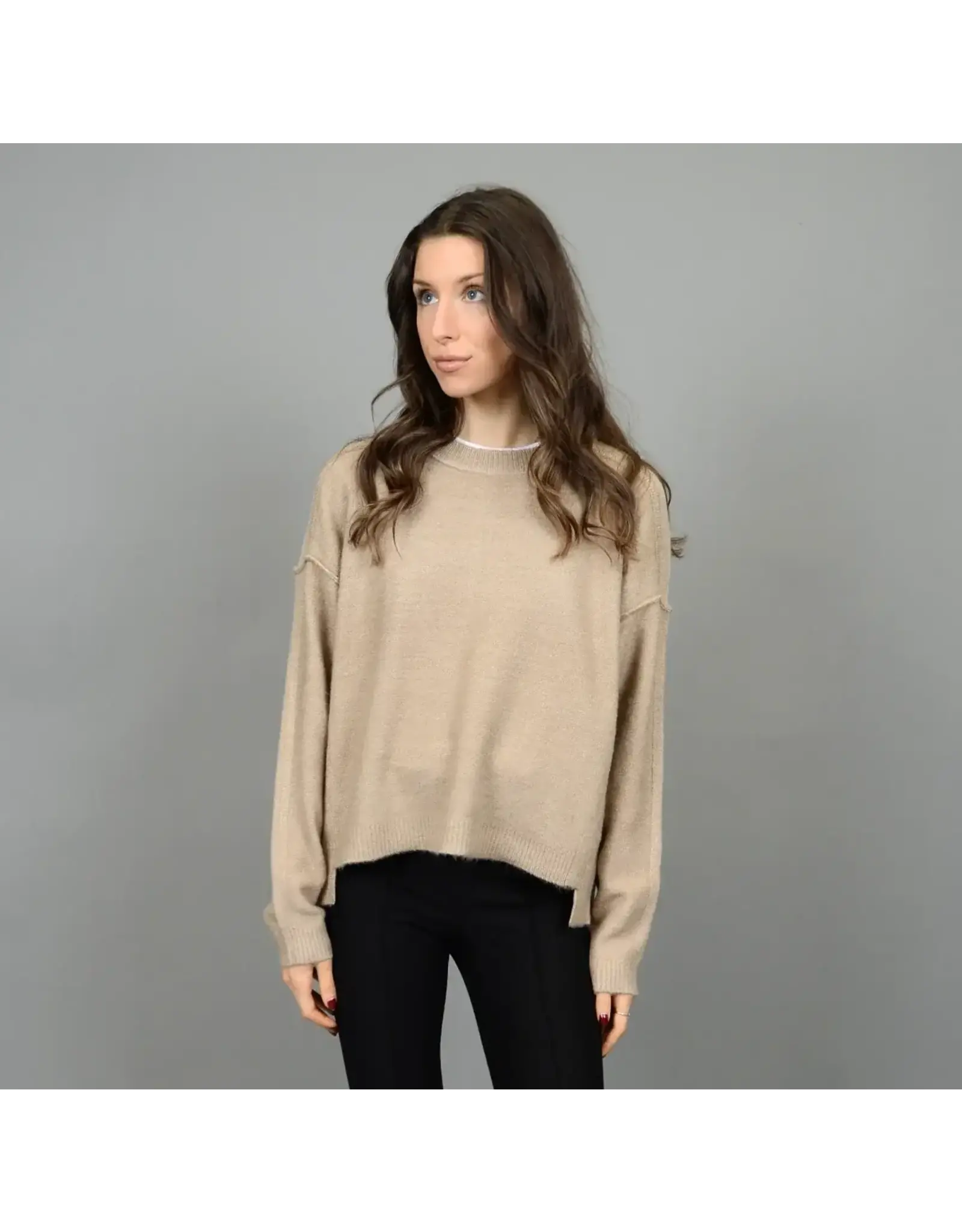 RD Style RD Style - Sanjana Long Sleeve Crew Neck (Dune Melange)