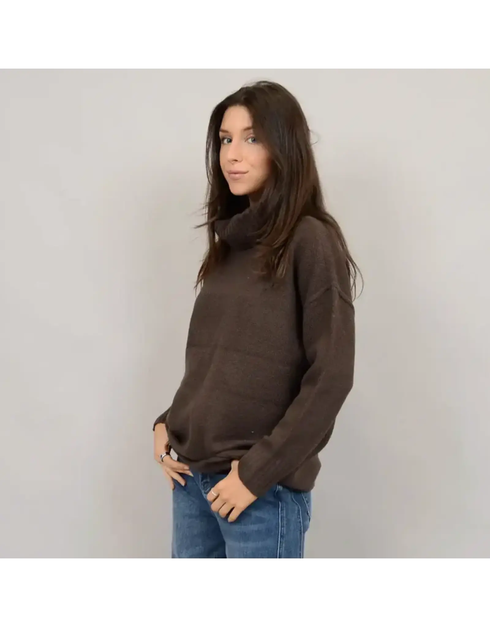 RD Style RD Style - Catherine Long Sleeve Turtleneck (Dark Brown)