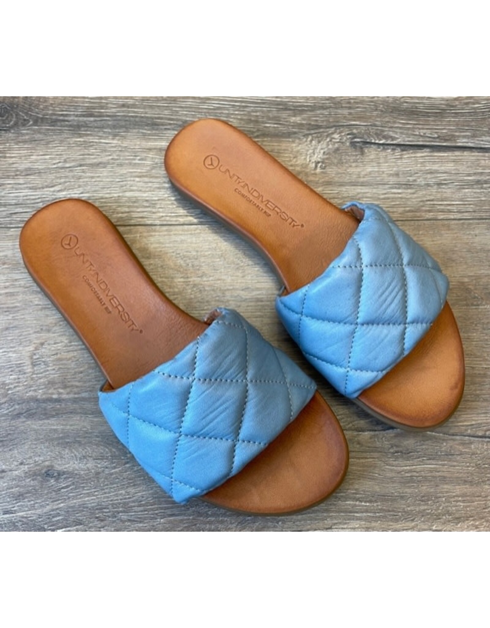 Unity in Diversity Unity in Diversity - Kira 167 (light blue)