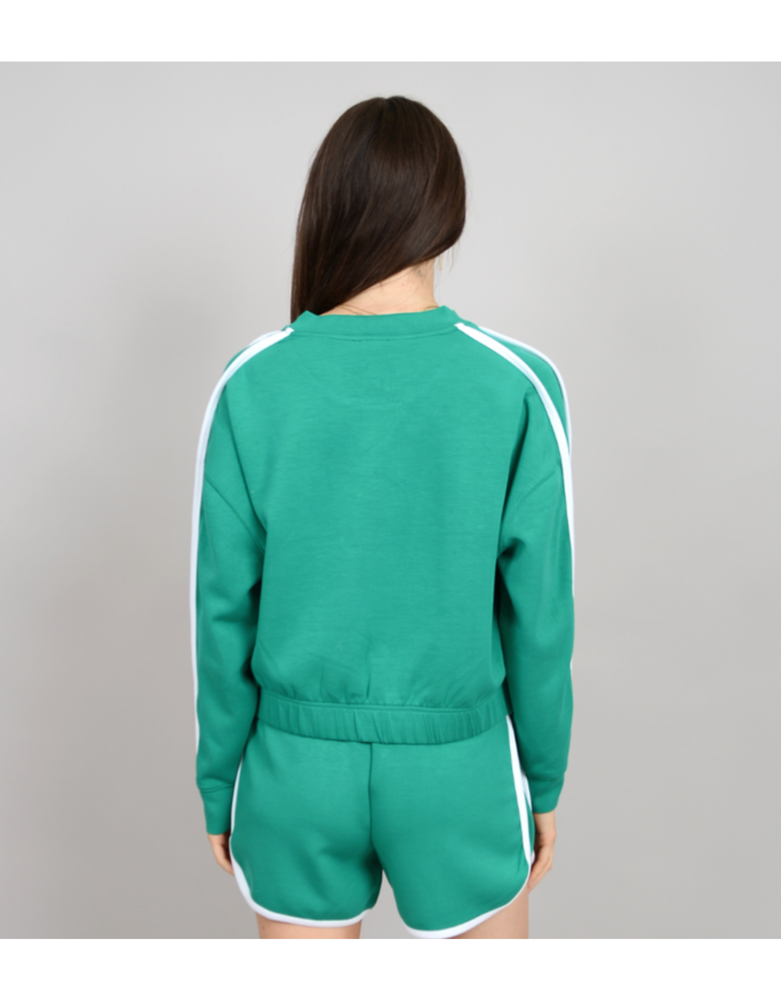 RD Style RD Style - Liza Soft Knit Crewneck Pullover (Creme de Menthe)