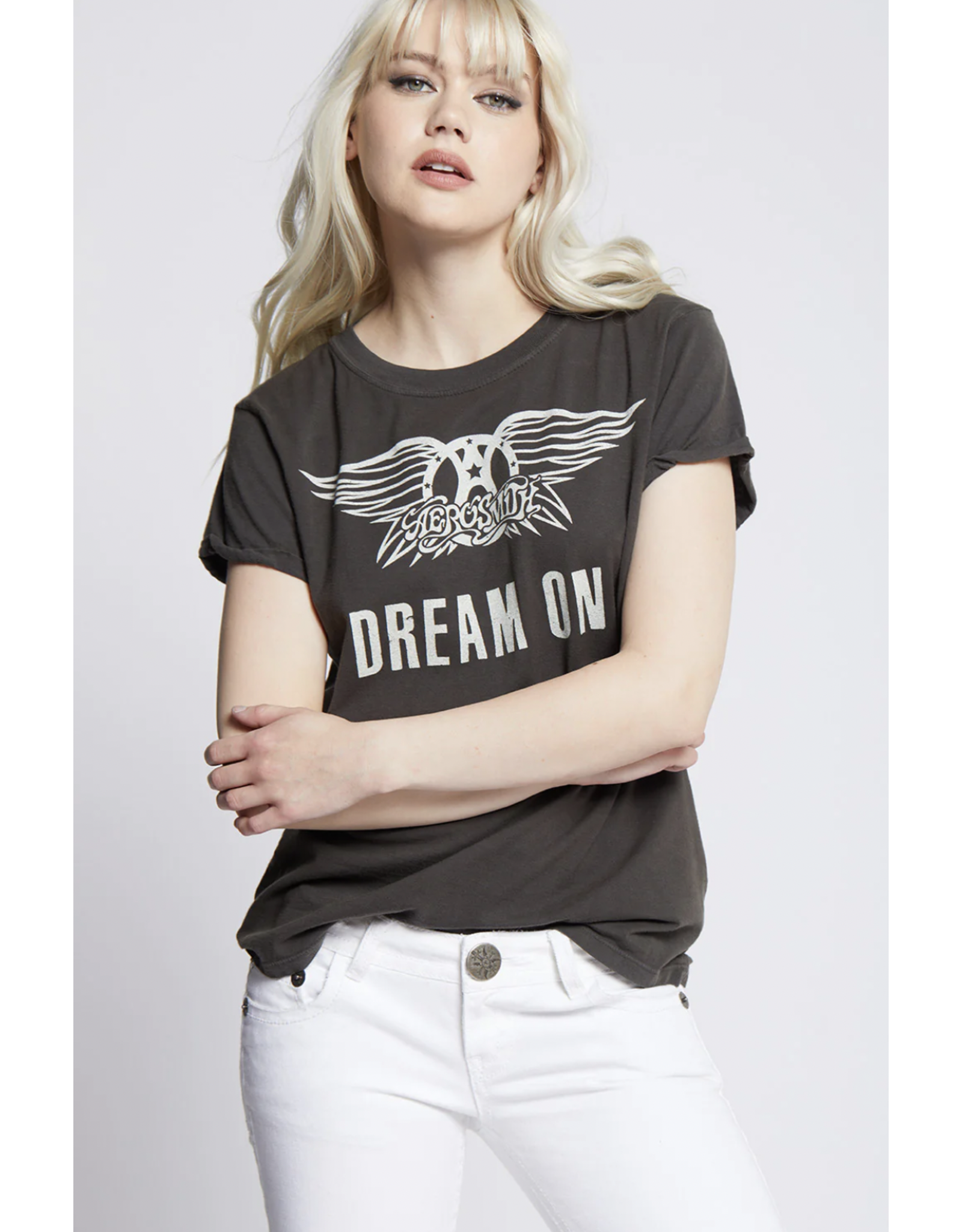 Recycled Karma Recycled Karma - Aerosmith Dream On tee