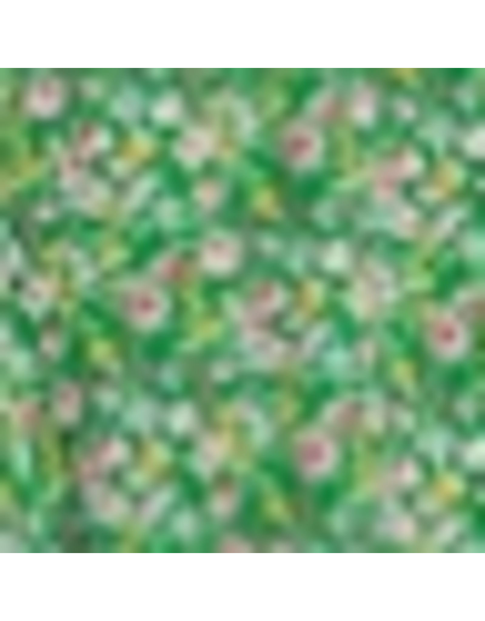 She + Sky Butterfly Sleeve Smocked Floral Print Dress (Green)