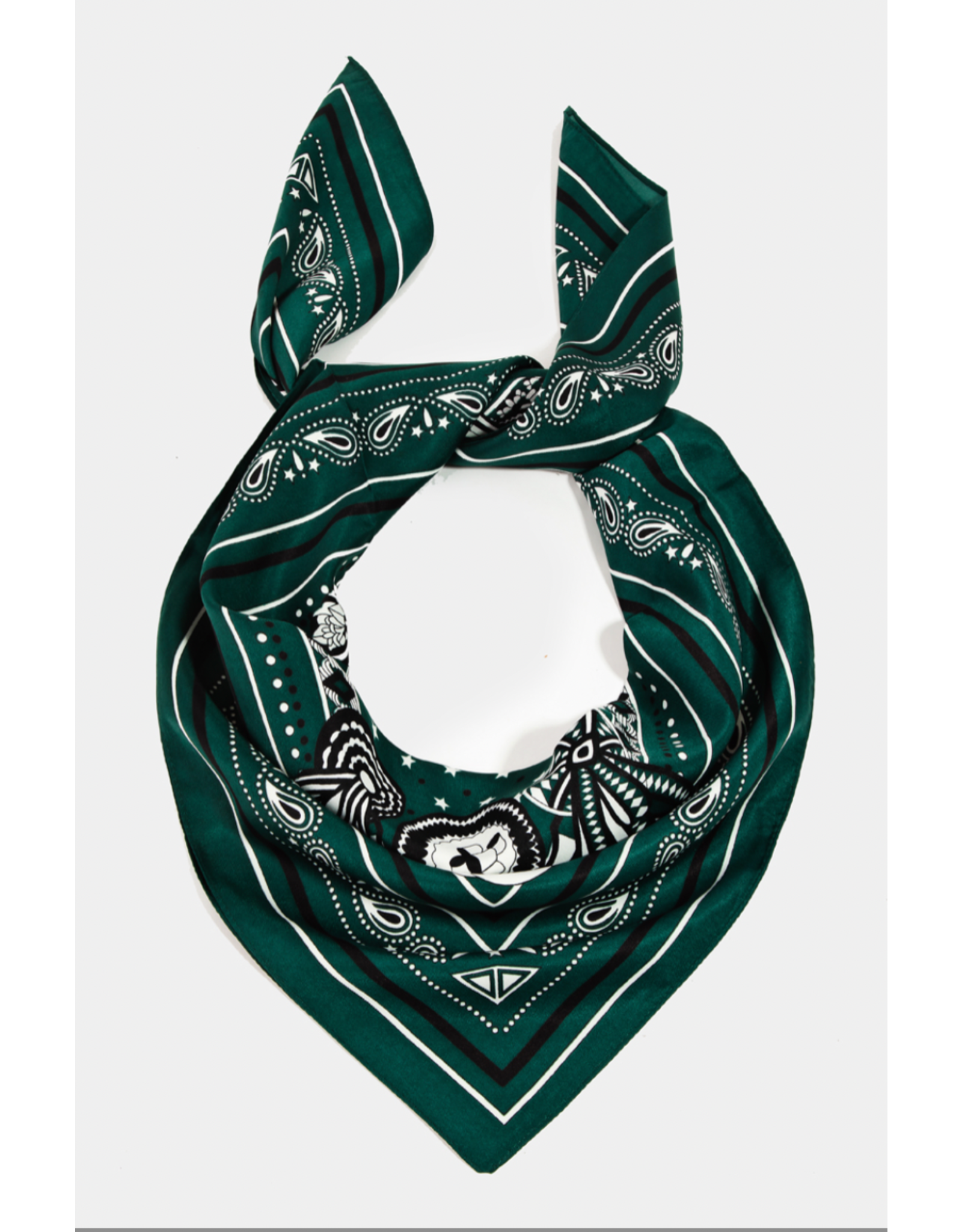 Fame Accessories Ribbon And Braids Paisley Square Bandana (Green)