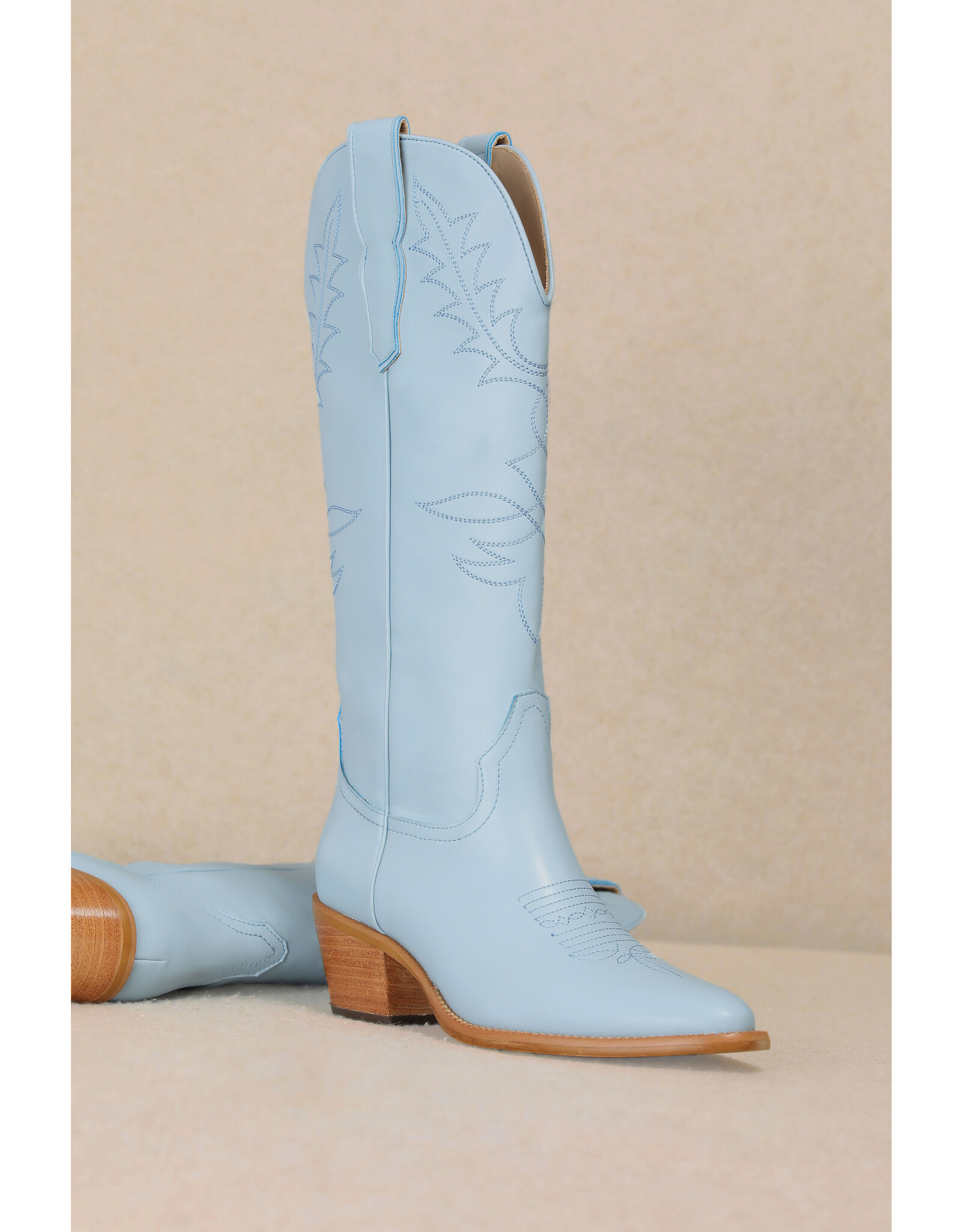 Let's See Style Adel - Festival Chunky Heeled Cowboy Cowgirl Boots (Powder Blue)