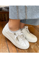 Django and Juliette Django & Juliette - Yurke Platform Sneaker (White Leather)