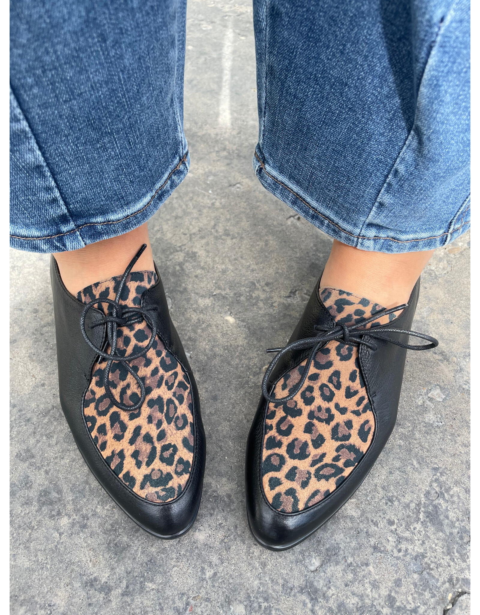 Django and Juliette Django & Juliette - Georgy (Black - Tan Leopard Leather - Suede)