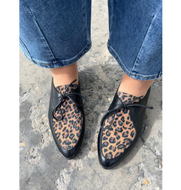 Django and Juliette Django & Juliette - Georgy (Black - Tan Leopard Leather - Suede)